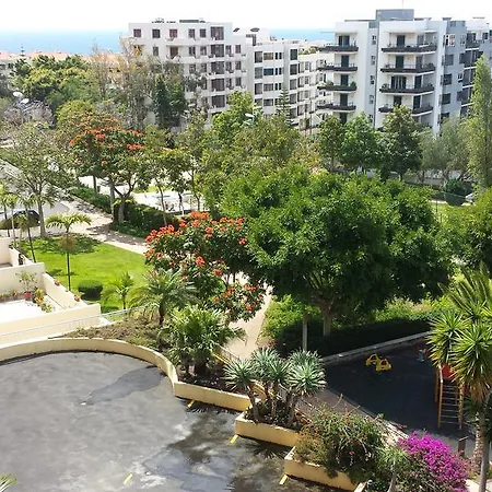 Tulipa View Φουνκάλ