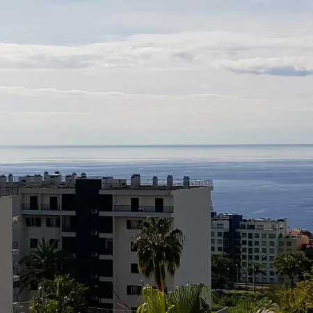 Tulipa View Apartament