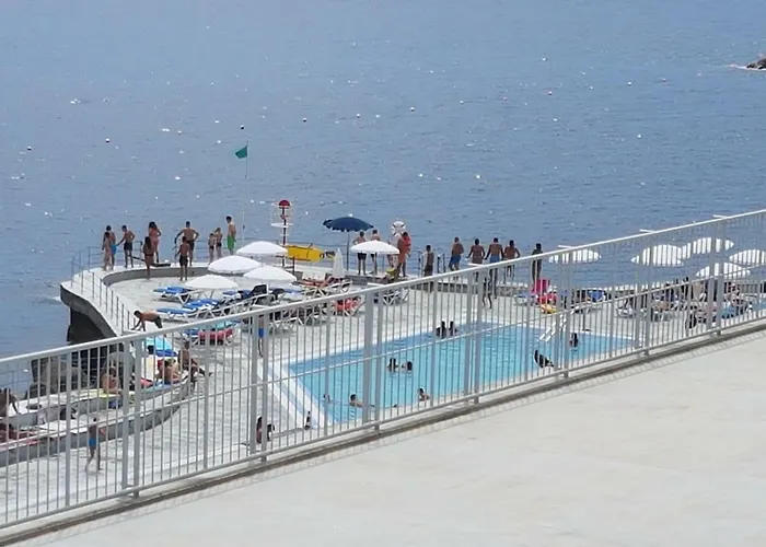 Tulipa View Apartament *