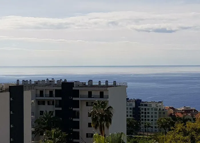 Tulipa View Apartament